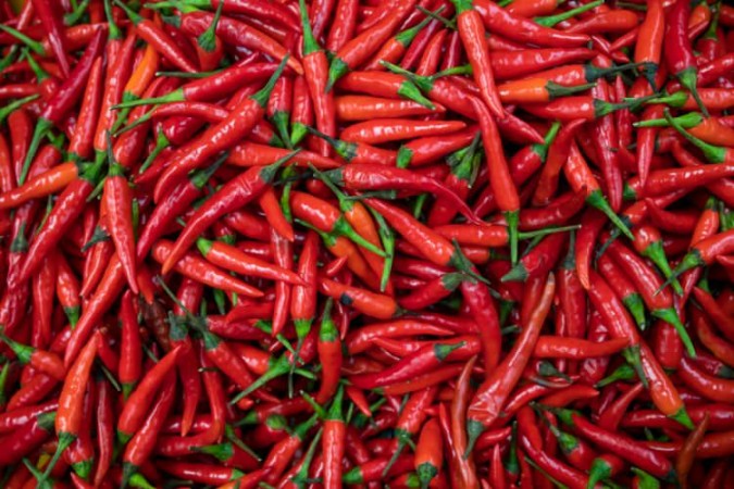 chilli Backdate 3 Chili, Chilli, Chile oder gar Chilies - Was ist Was und was ist chilli Backdate 3 Chili, Chilli, Chile oder gar Chilies - Was ist Was und was ist