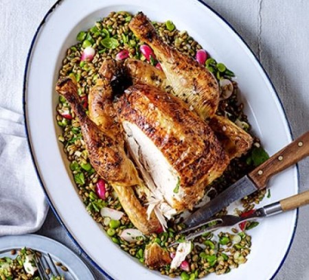 chicken dinner ideas Backdate 3 Roast chicken recipes Good Food chicken dinner ideas Backdate 3 Roast chicken recipes Good Food