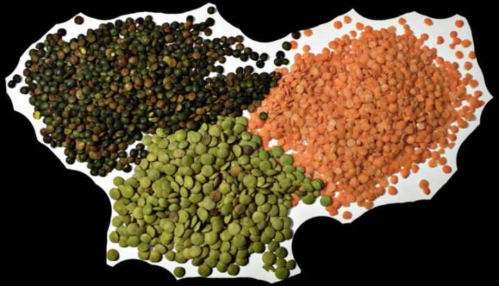 lentils Niche Utama 1 Dal - Wikipedia lentils Niche Utama 1 Dal - Wikipedia