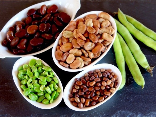 Niche Utama 1 Fava Beans - How To Cook, Soak, Peel And Freeze