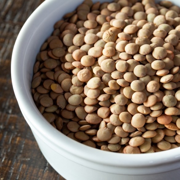 lentils Niche Utama 1 How To Cook Seasoned Brown Lentils (Stovetop) lentils Niche Utama 1 How To Cook Seasoned Brown Lentils (Stovetop)