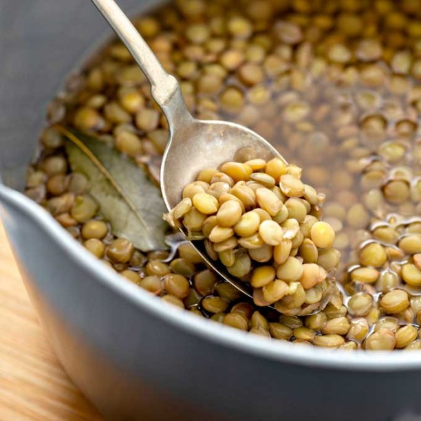 lentils Niche Utama 1 How to Make Lentils Ways (Stove Top, Crockpot, Instant Pot) lentils Niche Utama 1 How to Make Lentils Ways (Stove Top, Crockpot, Instant Pot)
