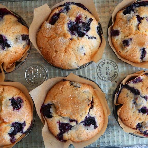 blueberry muffin recipe Niche Utama 1 Jordan Marsh’s Blueberry Muffins blueberry muffin recipe Niche Utama 1 Jordan Marsh’s Blueberry Muffins