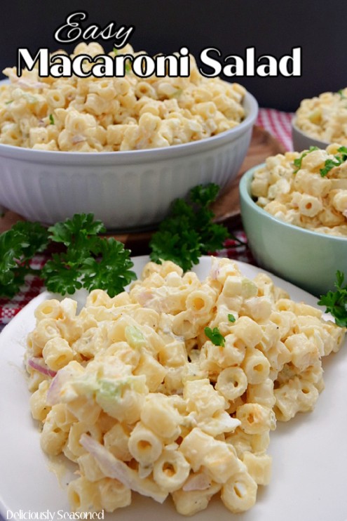 macaroni salad recipe Niche Utama 1 Macaroni Salad macaroni salad recipe Niche Utama 1 Macaroni Salad